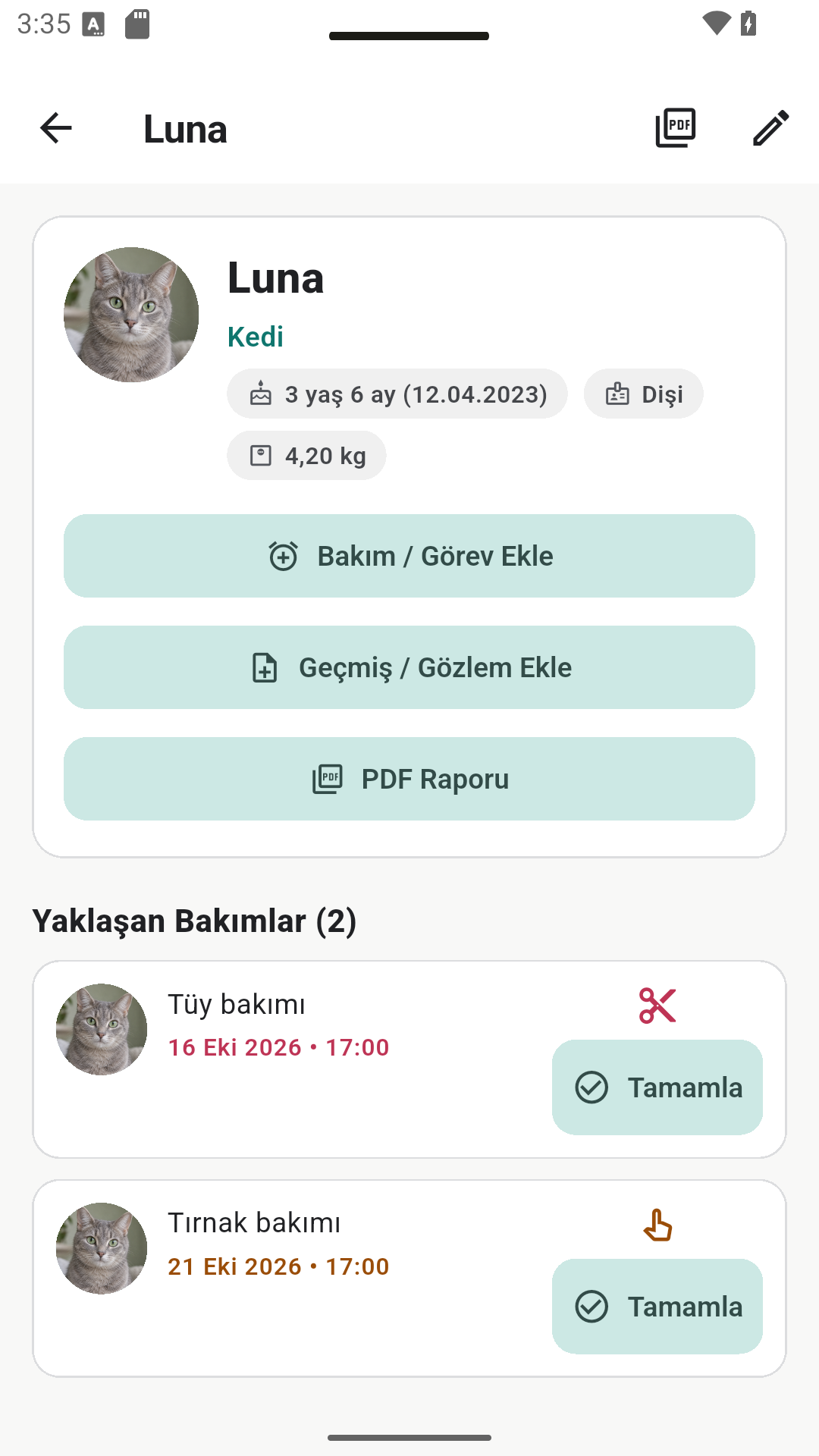 Luna’nın profili ve yaklaşan bakım görevleri